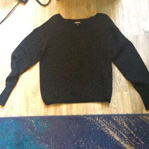 Shimmery Express Sweater Size Medium